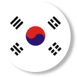 Korean Flags Cakap